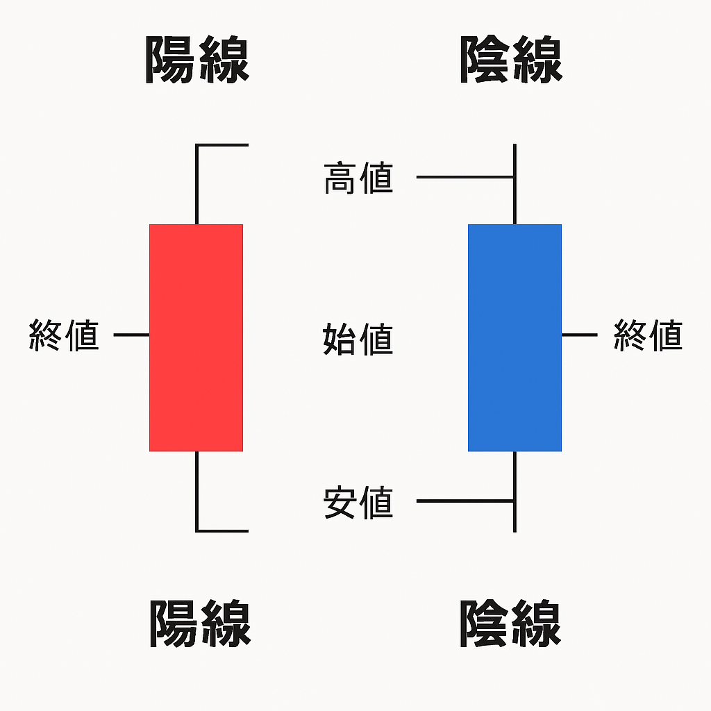 ローソク足の基本：陽線と陰線